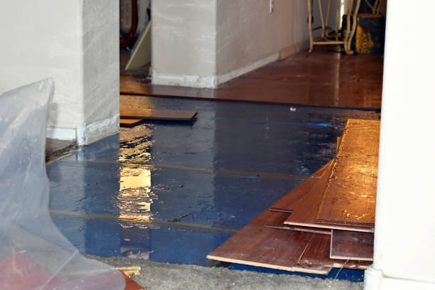 Professional Basement Flood Cleanup technician working in Bethel, WA